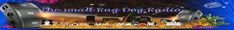 The-small-rag-Dog-Radio - News
